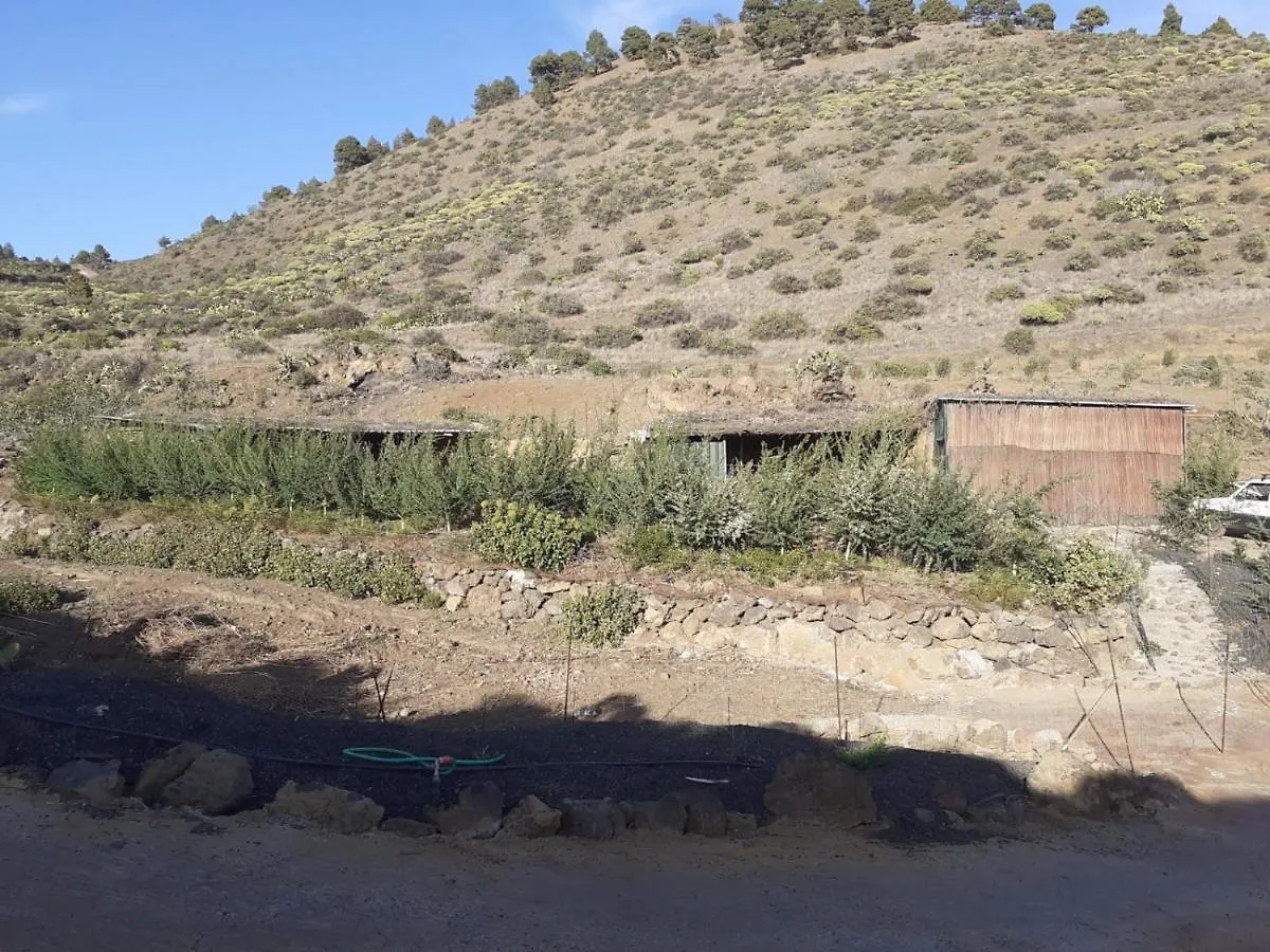 Casa Rural Los Santillos El Pinar  Ferienhaus El Pinar (El Hierro)